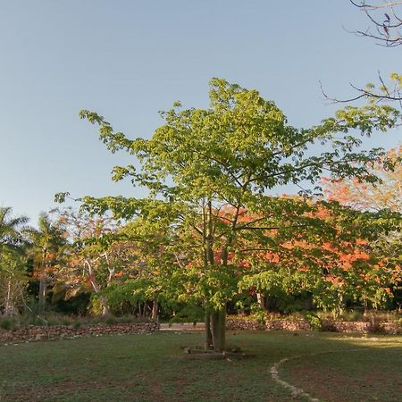 Hacienda Shambalante Bed & Breakfast Izamal Ngoại thất bức ảnh