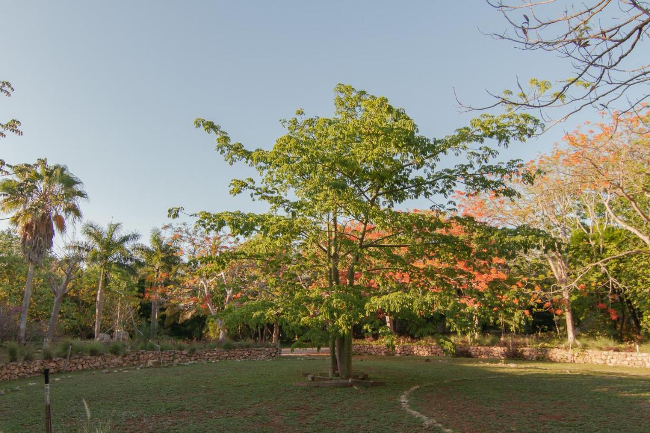 Hacienda Shambalante Bed & Breakfast Izamal Ngoại thất bức ảnh